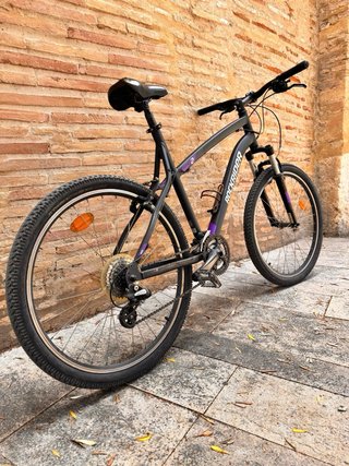 Bicicleta mountain bike