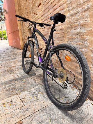 Bicicleta mountain bike