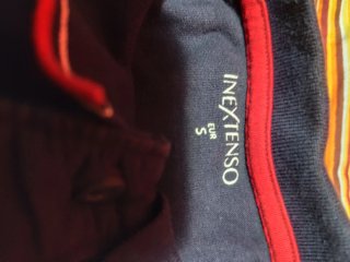 Polo InExtenso cinza e azul