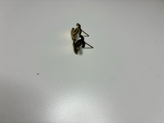 Pendientes Chanel Doble C Dorados