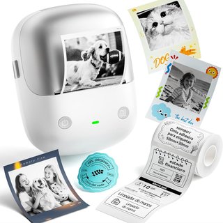 NIIMBOT Etiquetadora B2 Pro Plata/Blanco