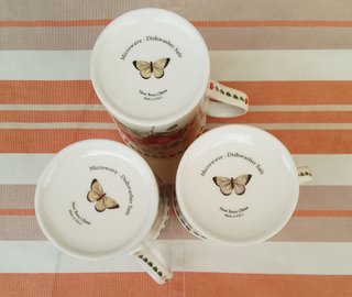Tazas de porcelana fina Inglesa Flores Silvestres