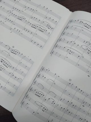 Libro Il Sassofono nei Classici di Palestrina