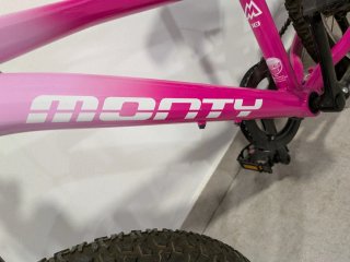 Bicicletta per bambina Monty rosa quasi nuova