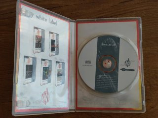 Dino Crisis PC White Label Capcom