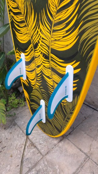 Pack Surf Iniciación tabla 55l + neopreno 4mm!