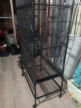 Jaula para loro o agaporni