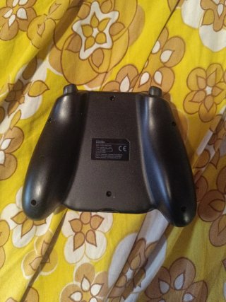 Mando Nintendo Skyrim