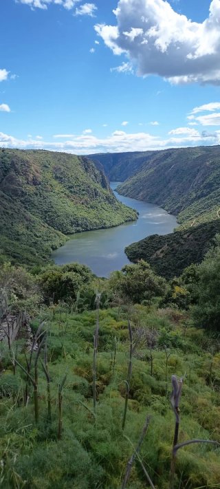 Clases Latín, Griego antiguo y Lengua Castellana