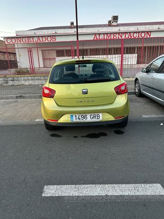 SEAT Ibiza 2009