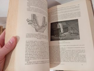 Manual de Medicina Interna 1925