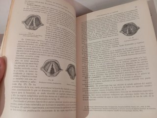 Manual de Medicina Interna 1925