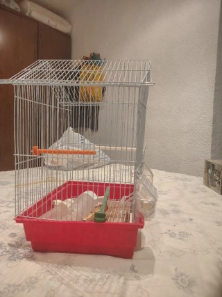 Jaula para pájaros
