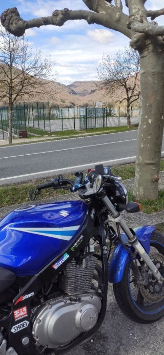 Suzuki GS500