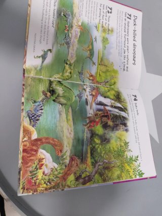 Libro 101 dinosaurs