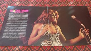 Vinilo Doble Ike & Tina Turner - The Collection