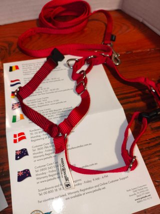 Pettorina e guinzaglio PetSafe Easy Walk rosso