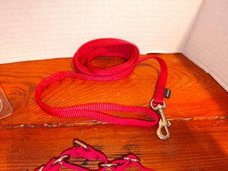 Pettorina e guinzaglio PetSafe Easy Walk rosso