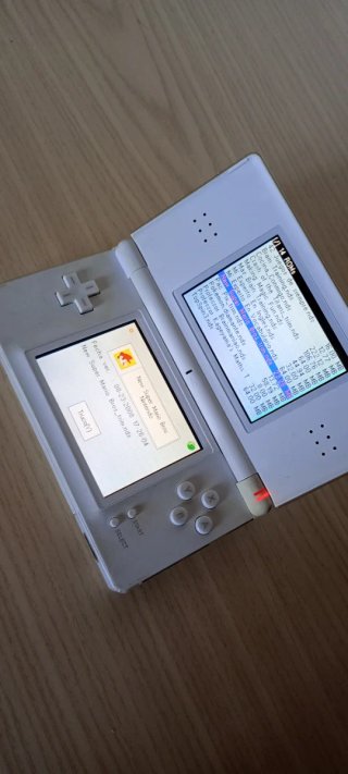 Nintendo DS Lite Blanca