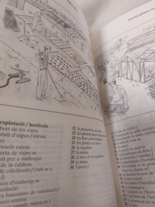 Diccionari visual Duden en català