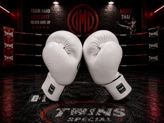 Guantes de Boxeo Twins Special BGVL3 White, Nuevos