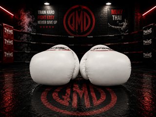 Guantes de Boxeo Twins Special BGVL3 White, Nuevos