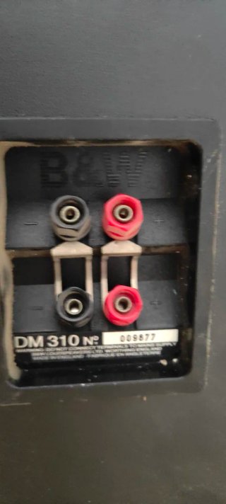 Altavoces B&W DM 310