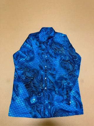 Camisa azul manga larga estampado paisley