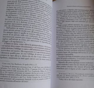 Inerzia amministrativa e nuove forme di tutela