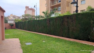 Mantenimiento de piscinas y jardines 15€ la hora