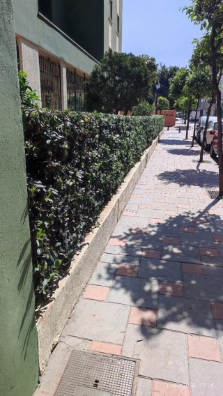 Mantenimiento de piscinas y jardines 15€ la hora