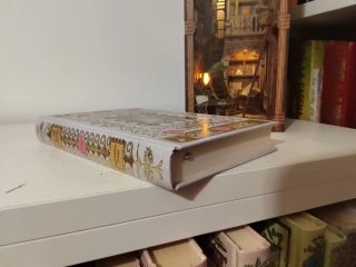 Libro dama