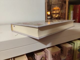 Libro dama