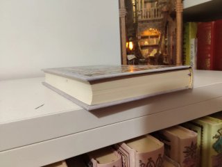 Libro dama