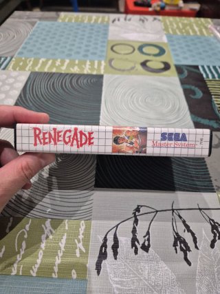 RENEGADE Sega Master System