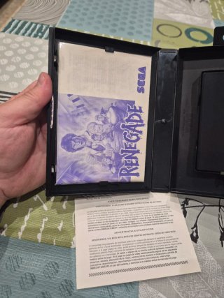 RENEGADE Sega Master System