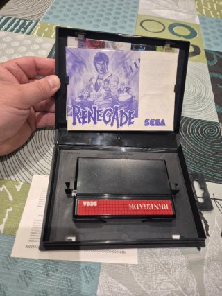 RENEGADE Sega Master System