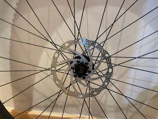 Ruedas Gravel Cinelli con Neumáticos y discos