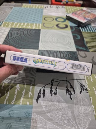 GAUNTLET Sega Master System