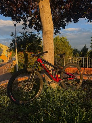 TREK FUEL Ex 9.8 FULL CARBONO