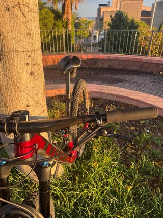 TREK FUEL Ex 9.8 FULL CARBONO