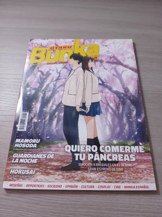 Lote libros dibujo anime/manga