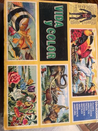 Álbum Vintage Vida y Color - Colección Incompleta