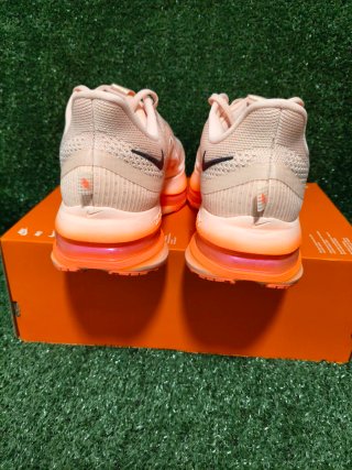 Nike Pegasus Premium Talla 45.5