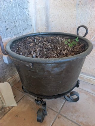 Olla de metal grande con asas y soporte