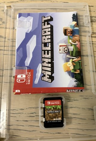 Minecraft Nintendo Switch