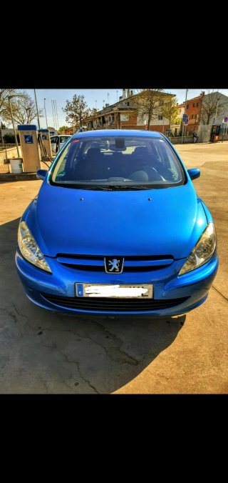Peugeot 307 Blue  -2004- ITV 2027- Etiqueta B