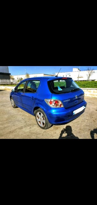 Peugeot 307 Blue  -2004- ITV 2027- Etiqueta B