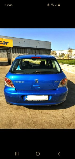 Peugeot 307 Blue  -2004- ITV 2027- Etiqueta B