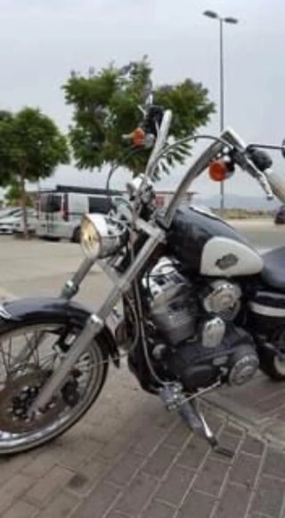 Harley Davidson XL 883 2007